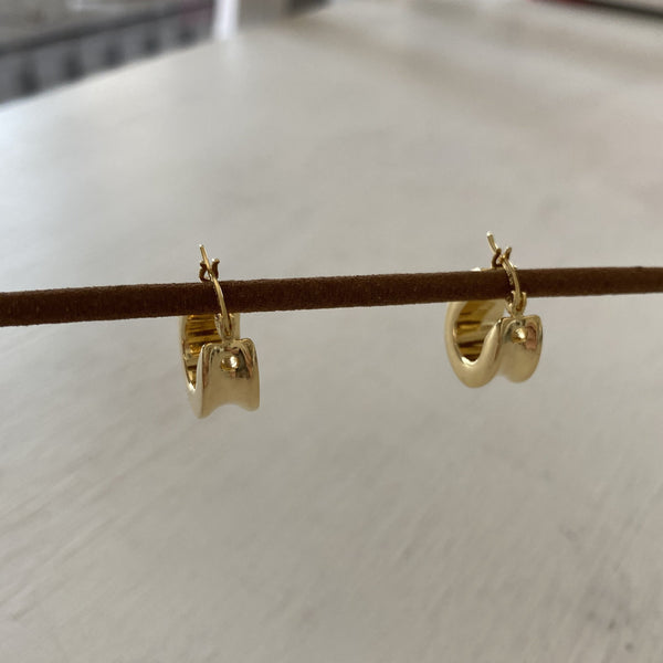 Fancy Huggie Earrings