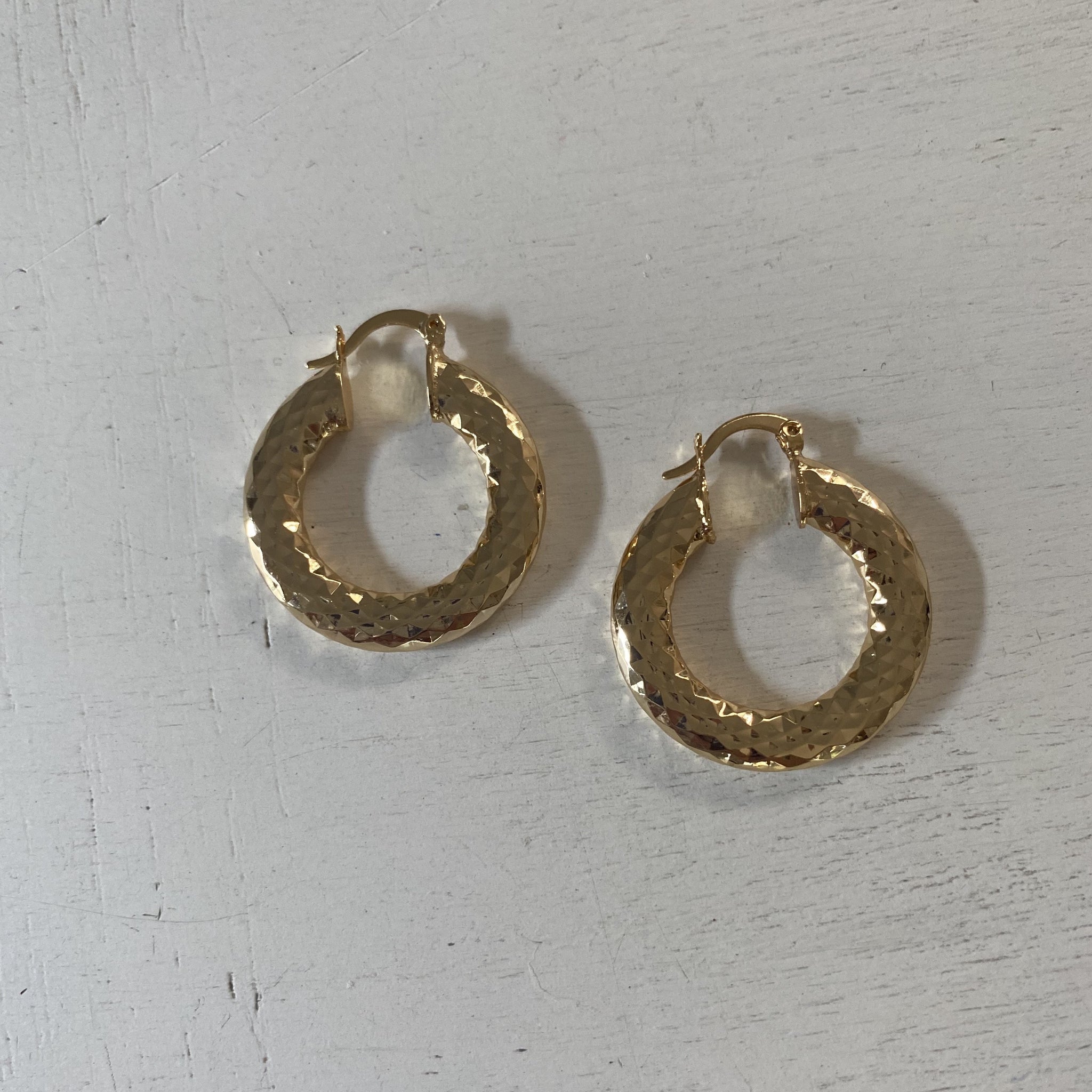 Miami Hoop Earrings