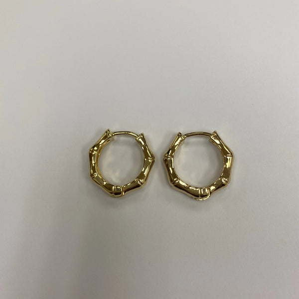 Tiny bamboo Earrings