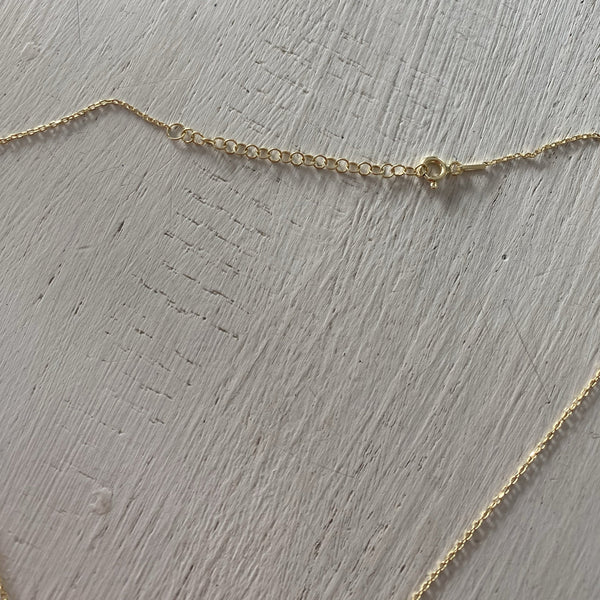 Cowerie Shell Necklace